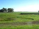 Pampa,Pampa Humeda,la Pampa,Argentina,Sud America Pampa,Pampa Humeda,la Pampa,Argentina,Sud America