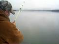 38 lb Lake Monticello Blue Catfish 38 lb Lake Monticello Blue Catfish