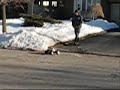 jumping the e-maxx