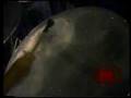 videos de Iwer George's Nah Do Dat by Merrytones