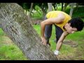 Parkour Movimientos Basicos