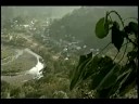 Imagen de previsualización de YouTube