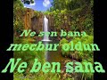 NEYE YARAR