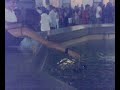 qui possiamo notare come un tipico esemplare di homo abilis (tola) cerca di recuperare un inutile fazzolettino dalla fontana :-P... ospite speciale lo SmiLzo