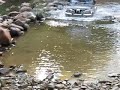 JEEP thrills JEEP thrills