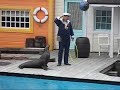 Dolphinarium, Holland