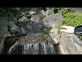 While walking through the grounds of the Sensoji Temple in Tokyo, Amy spontaneously took this video as Arny suddenly looked into the little river and began to explain how the little waterfalls illustrate both the wild and quiet times in life.