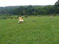 Paige Herding 3 Paige Herding 3