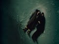 Eternal Sunshine Of The Spotless Mind