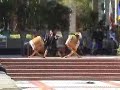 Kyodo Taiko Performance at UCLA APIS Graduation 2007 Kyodo Taiko Performance at UCLA APIS Graduation 2007