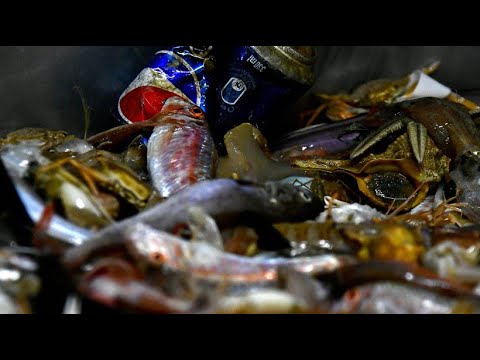 Italien: Fischer kmpfen mit Clean Sea Life gegen Verschmutzung der Meere