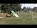 amy-joe-snookers-west-la-308.html