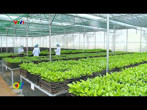 Chế biến sâu nhằm nâng cao giá trị các sản phẩm nông sản