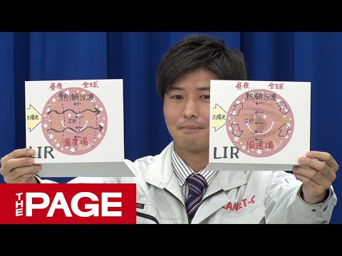 動画