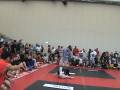 videos de craig grappling