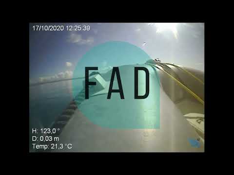 FAD - Fish Aggregative Device - FEAMP 2014/2020 - Flag costa degli etruschi - Misura 1.40 - 01BIO18
