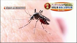 医学生物学研究所、デングウイルスの抗体開発に成功(ニュース)