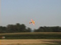 Martin Brandmüller Freeestyle Showflight