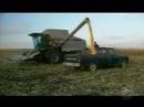 Too much Corn in our diet
