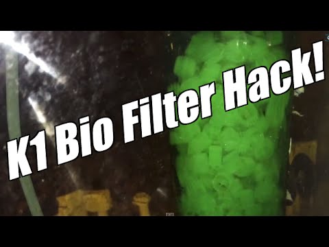 Indoor Aquarium K1 Bio Filter Hack Aquaponics On Grow Aquaponically