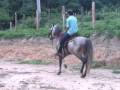 videos de Original montado4