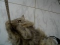 20091019 237