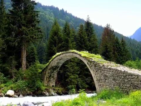 Vedi il video