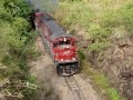 Trem ALL C30-7 acelerando na subida