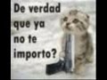 Antes [[DeBo Te AmO]]
