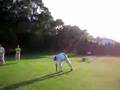 FTC ' s Golf Compe.