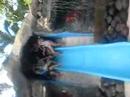 Treben fun