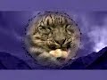 Snow leopards on the run - www.snowleopard.org