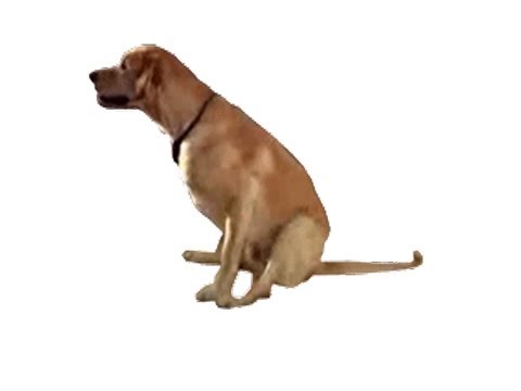 Gimmie Dat Butt Crawl Video