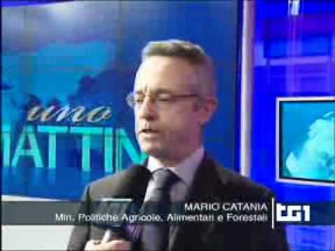Guarda il video