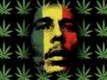 Gondwana - reggae is coming