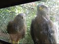 Parque Biológico -Ar livre