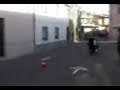 podde e torigheddu stracciano ttt quanti e conquistanopremio finale!!!!