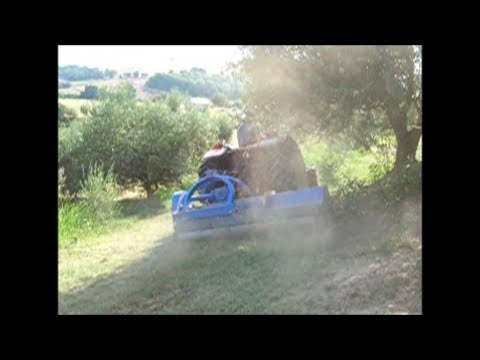 καταστροφεας - ΚΑΤΑΣΤΡΟΦΕΑΣ ΣΕ ΕΛΙΕΣ MULCHER OLIVE IN GREECE TRINCIATRICE OLIVE IN GRECIA MULCHER OLIVE IN GRIECHENLAND BROYEUSE OLIVE EN GRÈCE.