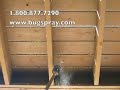 Carpenter Bee Dustick Treatment Carpenter Bee Dustick Treatment