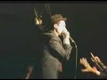 babyshambles - gang of gin