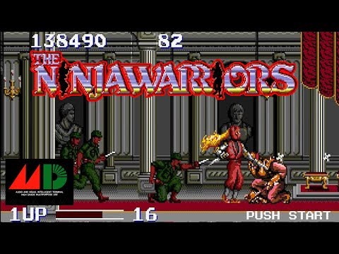 動画