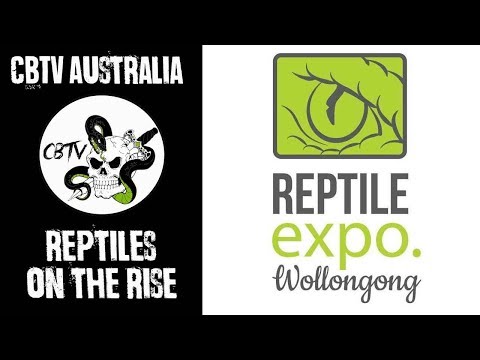 YouTube reptile video
