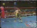 pelea de box entre humberto 