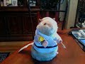 Kung Foo Fighting Hamster