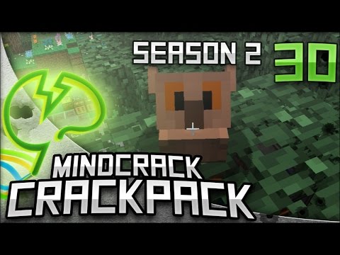 pets - Mindcrack CrackPack Season 2 (Minecraft Mods) - We get us some new Owl friends...that noise, I shall regret this. The Mindcrack CrackPack is available for download now! Check it out;-) ▻http://ww...