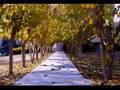 Isfahan university of technology(IUT)