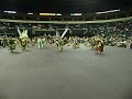 Men's Traditional-Winnipeg Powwow 2009-1st song.AVI
