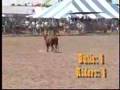Swan River Northwest Roundup Bull Riding