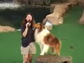 \"Animal Actors\" Animal Planet Live!