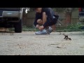 Crazy Italian Freerunning (VOL. 4) ***NEW***